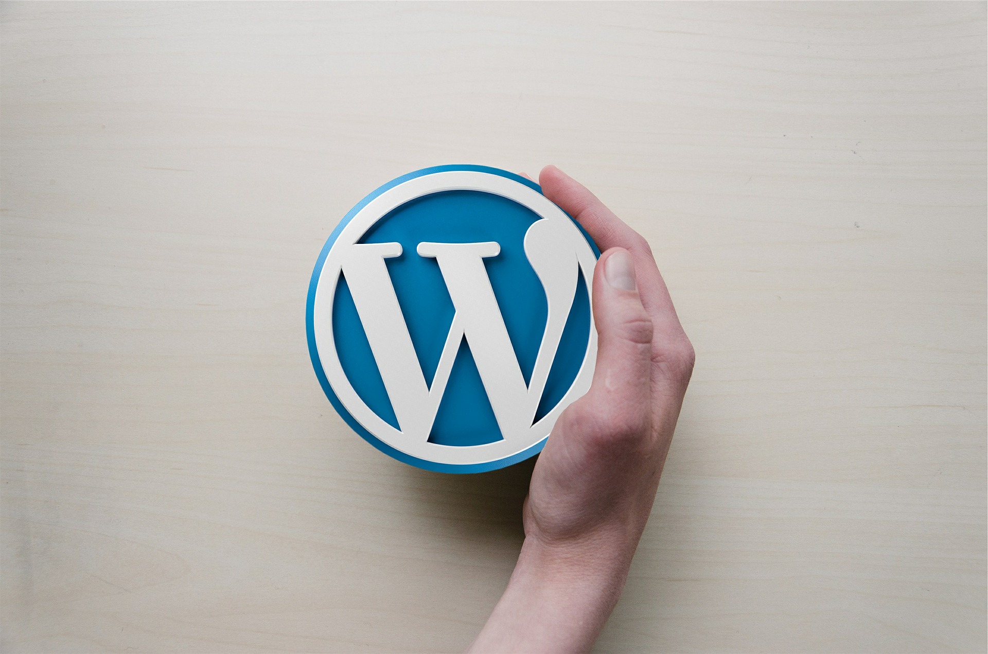 wordpress logotipo 
